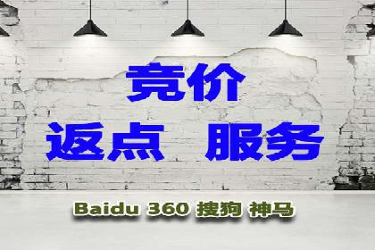 成功案例解析：SEO与SEM协同营销策略